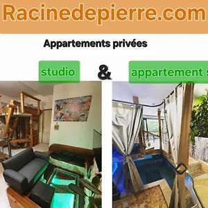 Appartement Racine De Pierre, Castres (Tarn)